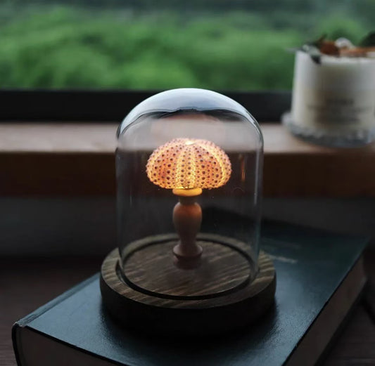 Handmade Mini Sea Urchin Night Light