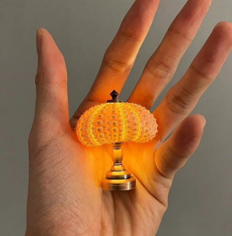 Handmade Mini Sea Urchin Table Lamp