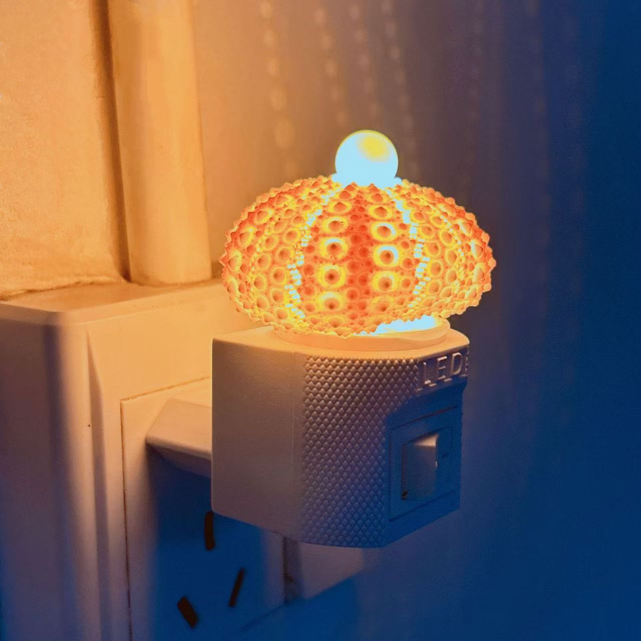 Handmade Mini Sea Urchin Plug-in Lamp