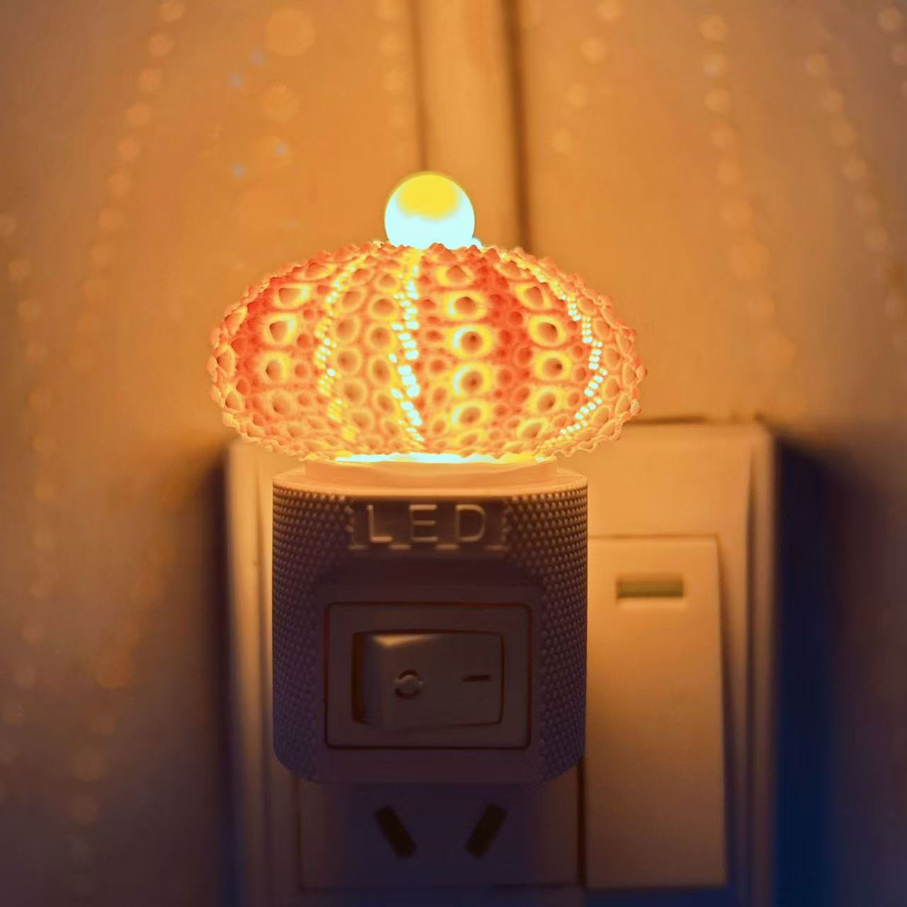 Handmade Mini Sea Urchin Plug-in Lamp