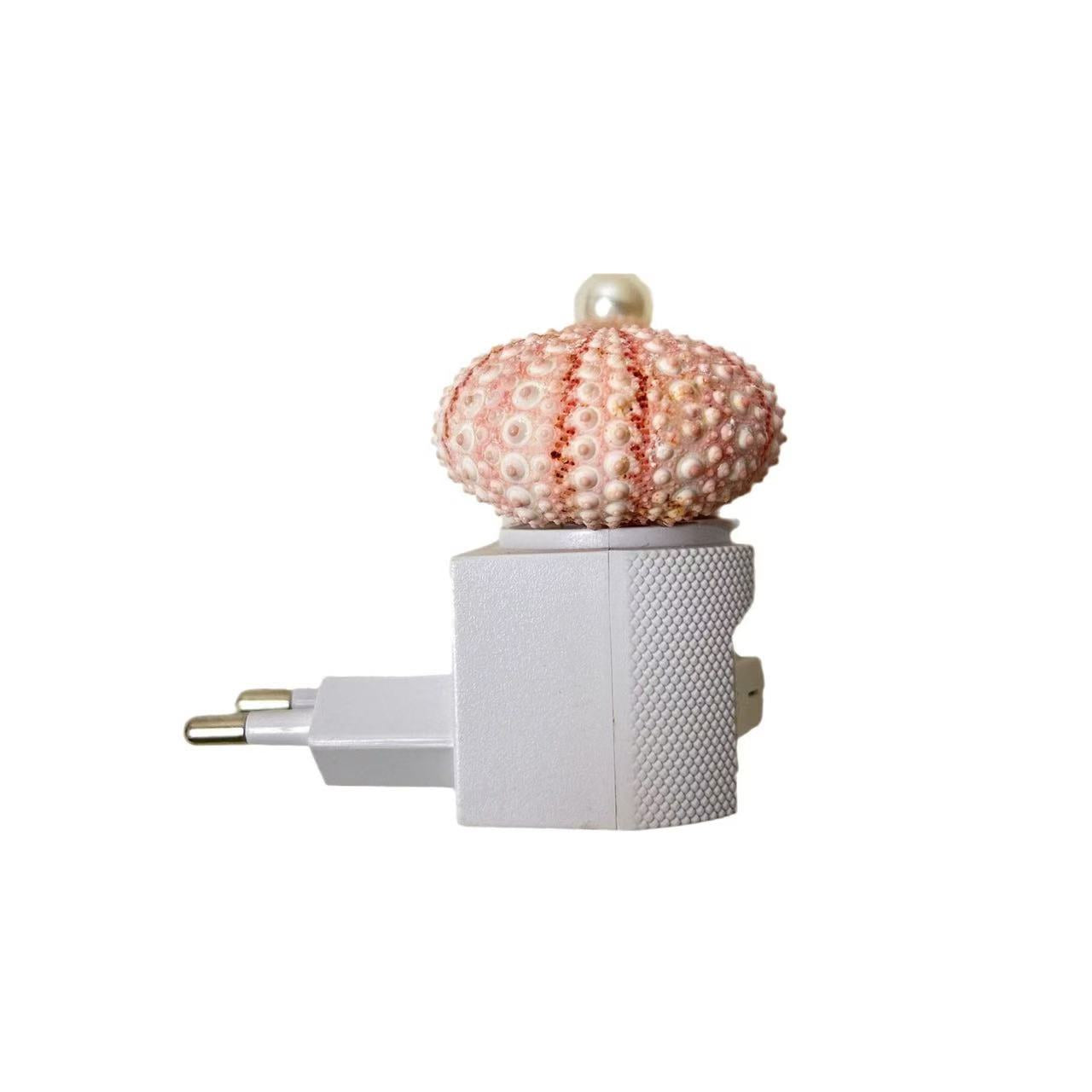 Handmade Mini Sea Urchin Plug-in Lamp